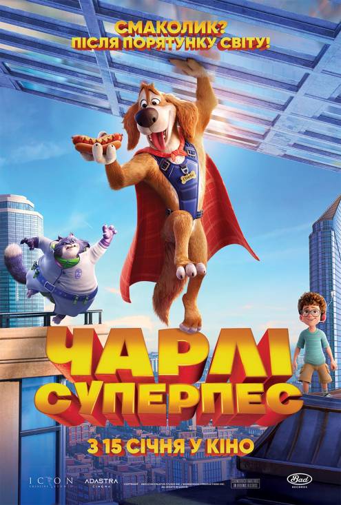 ������ ������ ���� ��������