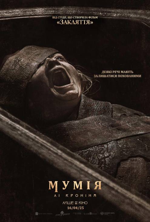 ������ ������ ���� ˳ �������